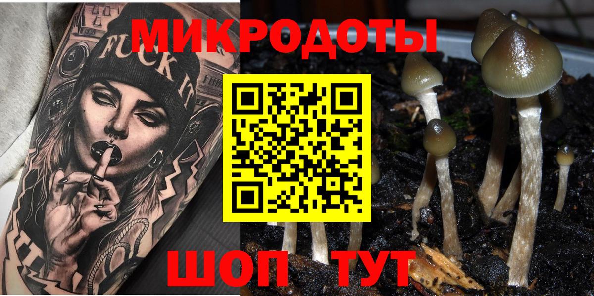 Псилоцибиновые грибы мухоморы Нефтекумск