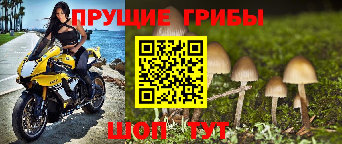Нефтекумск  Псилоцибиновые грибы прущие грибы  Вход с VPN 